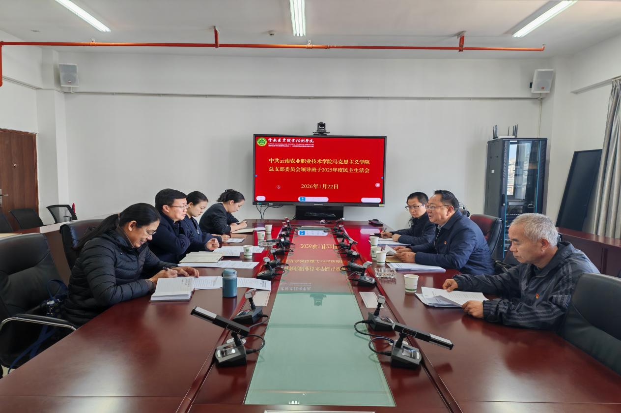马克思主义学院党总支召开2025年度民主生活会